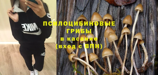 винт Алексин