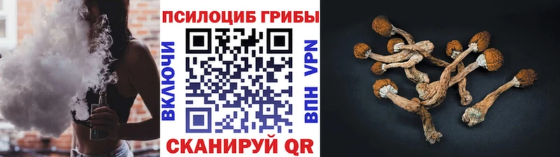 Псилоцибиновые грибы мухоморы  Пустошка 